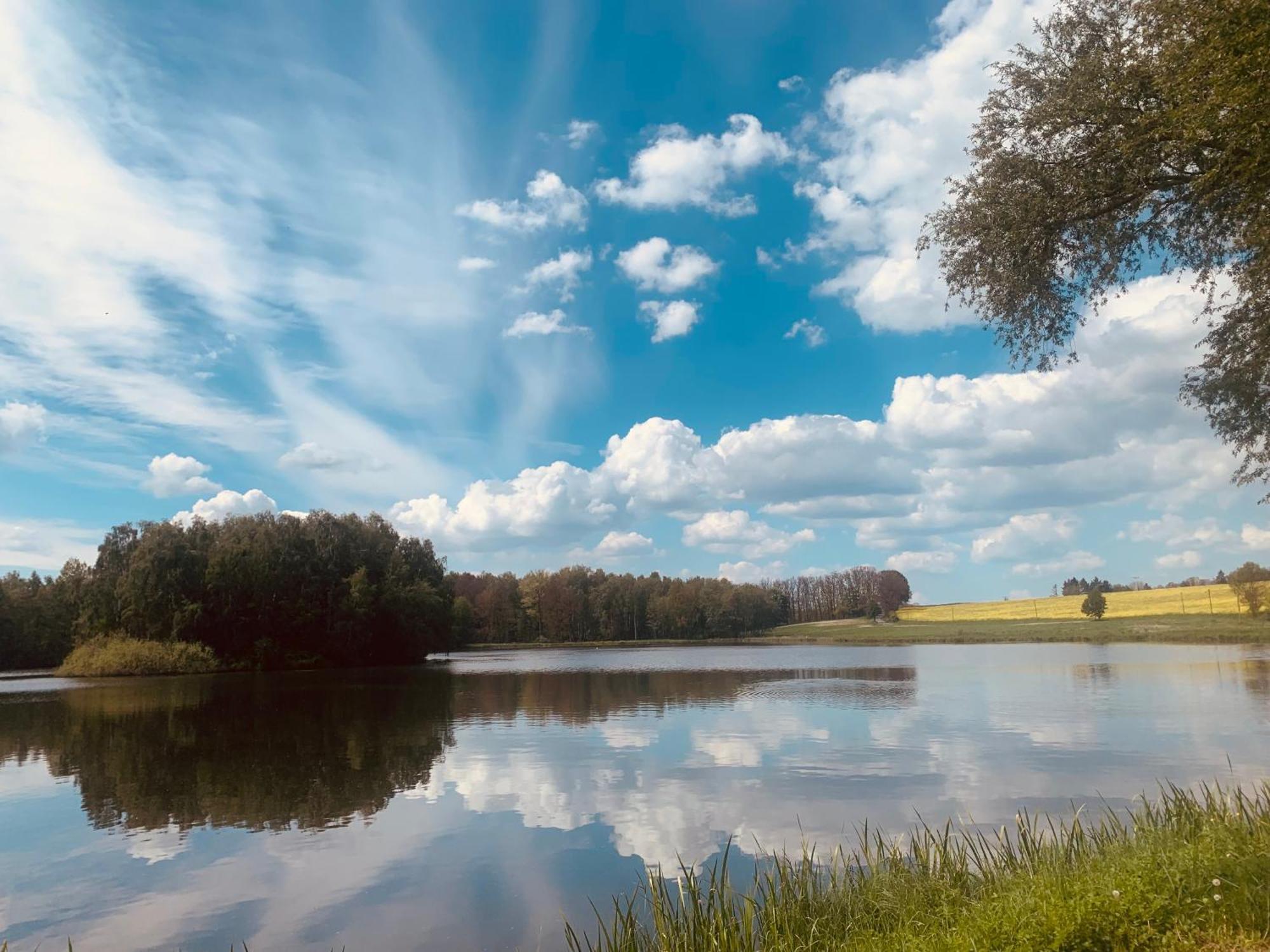 Gemuetliche Ferienwohnung In Idyllischer Lage-Auf Dem Land Dittersdorf Extérieur photo